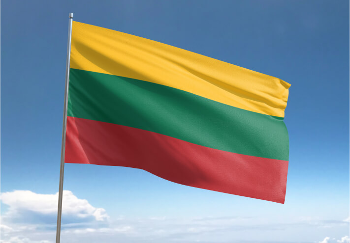 Lithuania Visa Flag