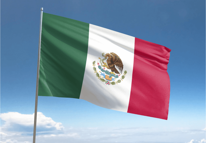 Mexico Visa Flag
