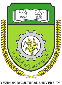 Myanmar Uni5